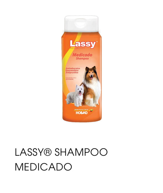 Lassy Dog shampoo