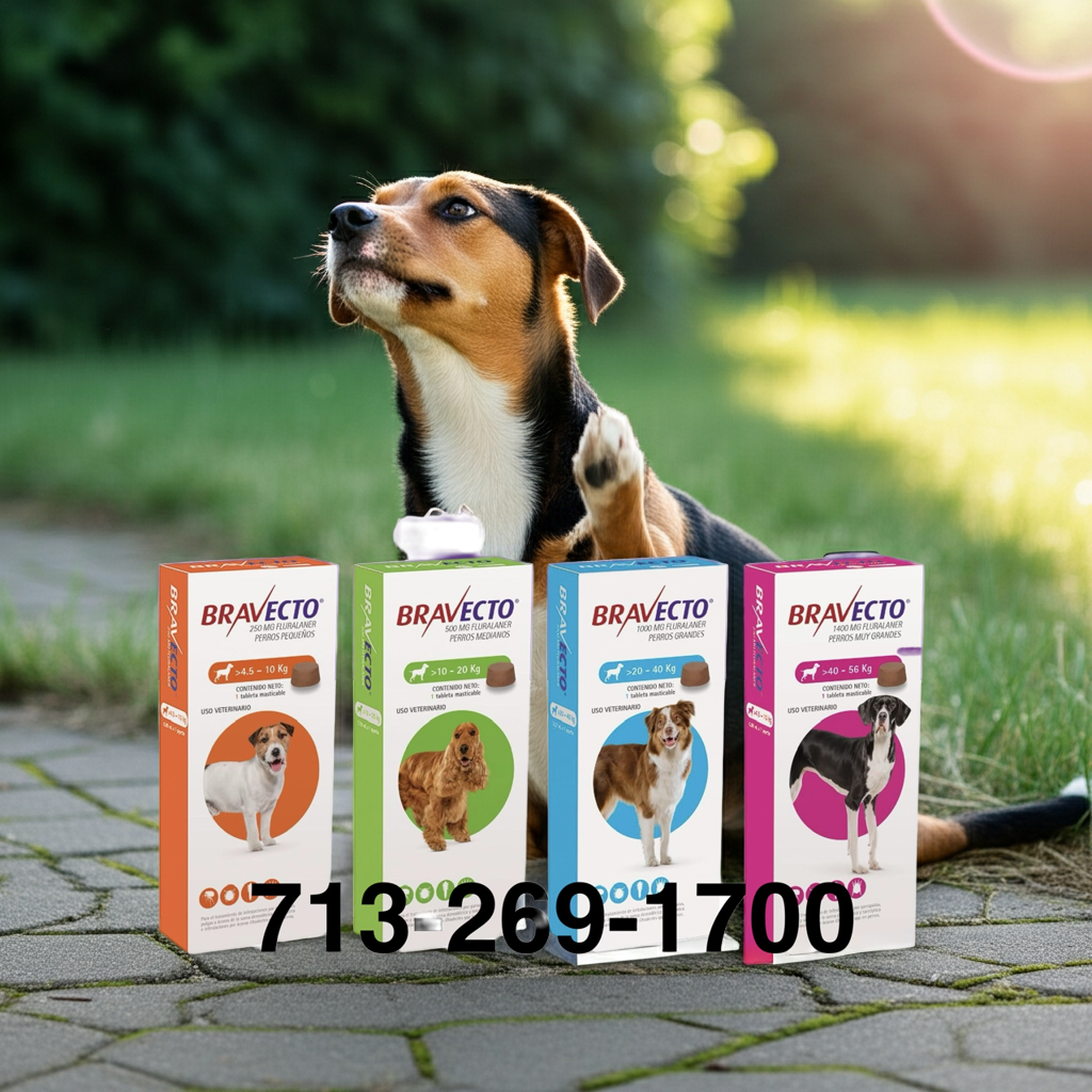 Bravecto Chew External Antiparasitic Chewable Tablet for Dogs, 10 to 20 kg